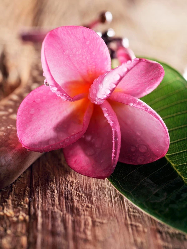 Slow Flow Studio Masażu w Łodzi